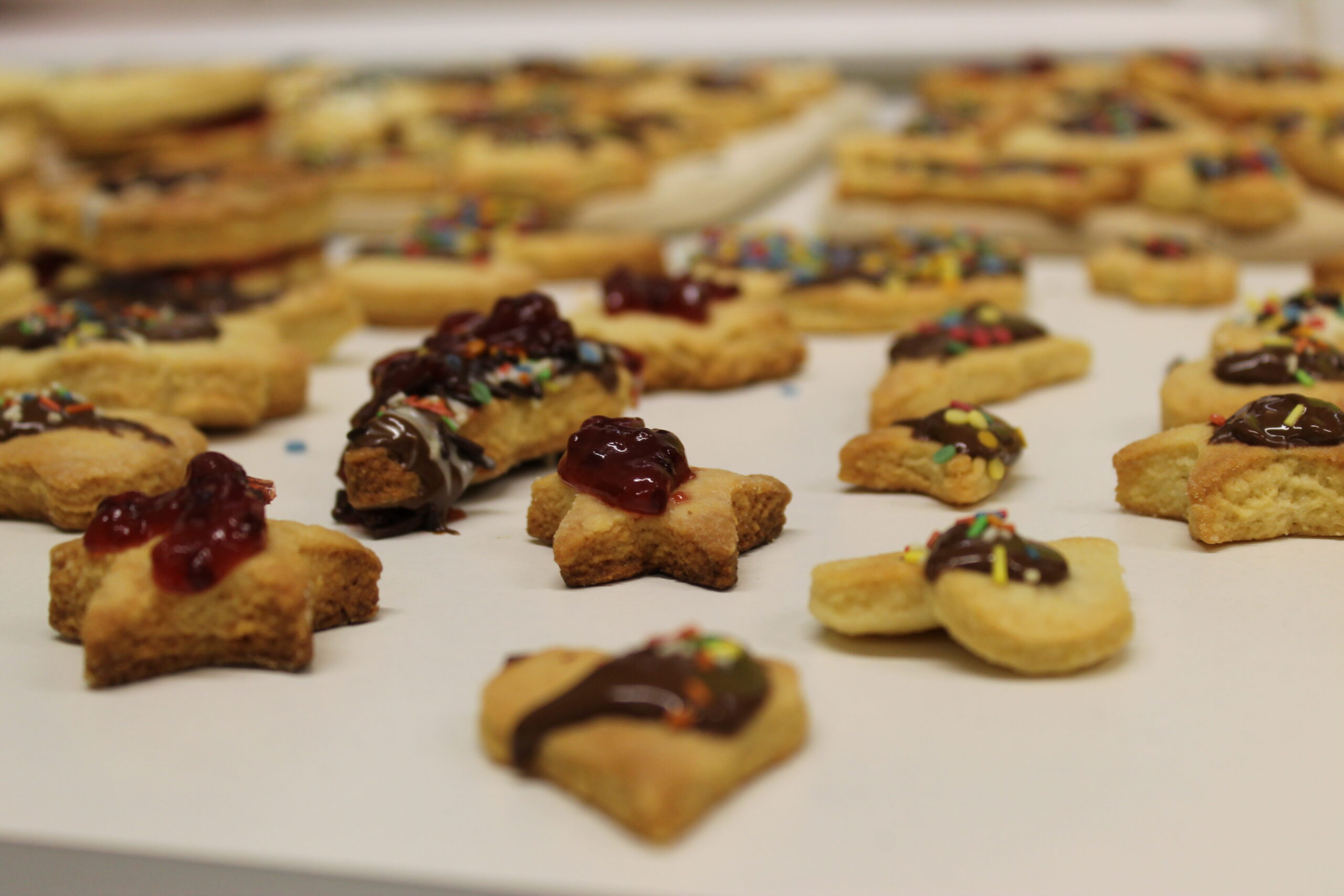 Newsletter Dezember 2025