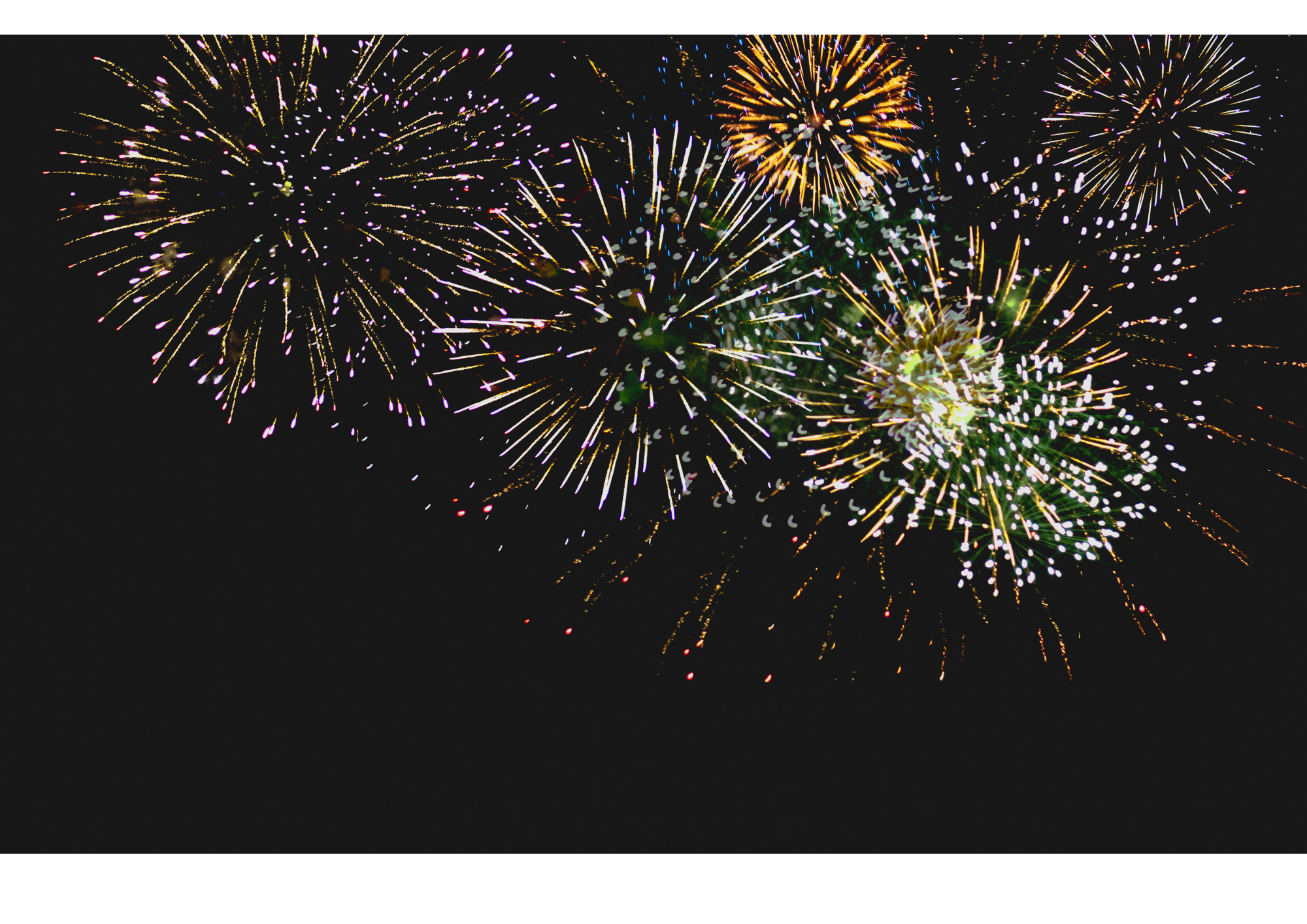 Newsletter Januar 2026