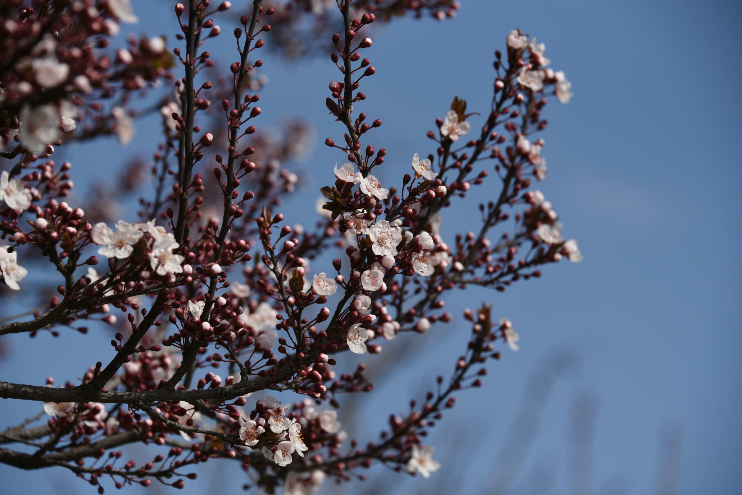 Achtung! – Abweichende Öffnungszeiten am 15. und 16.04.2026