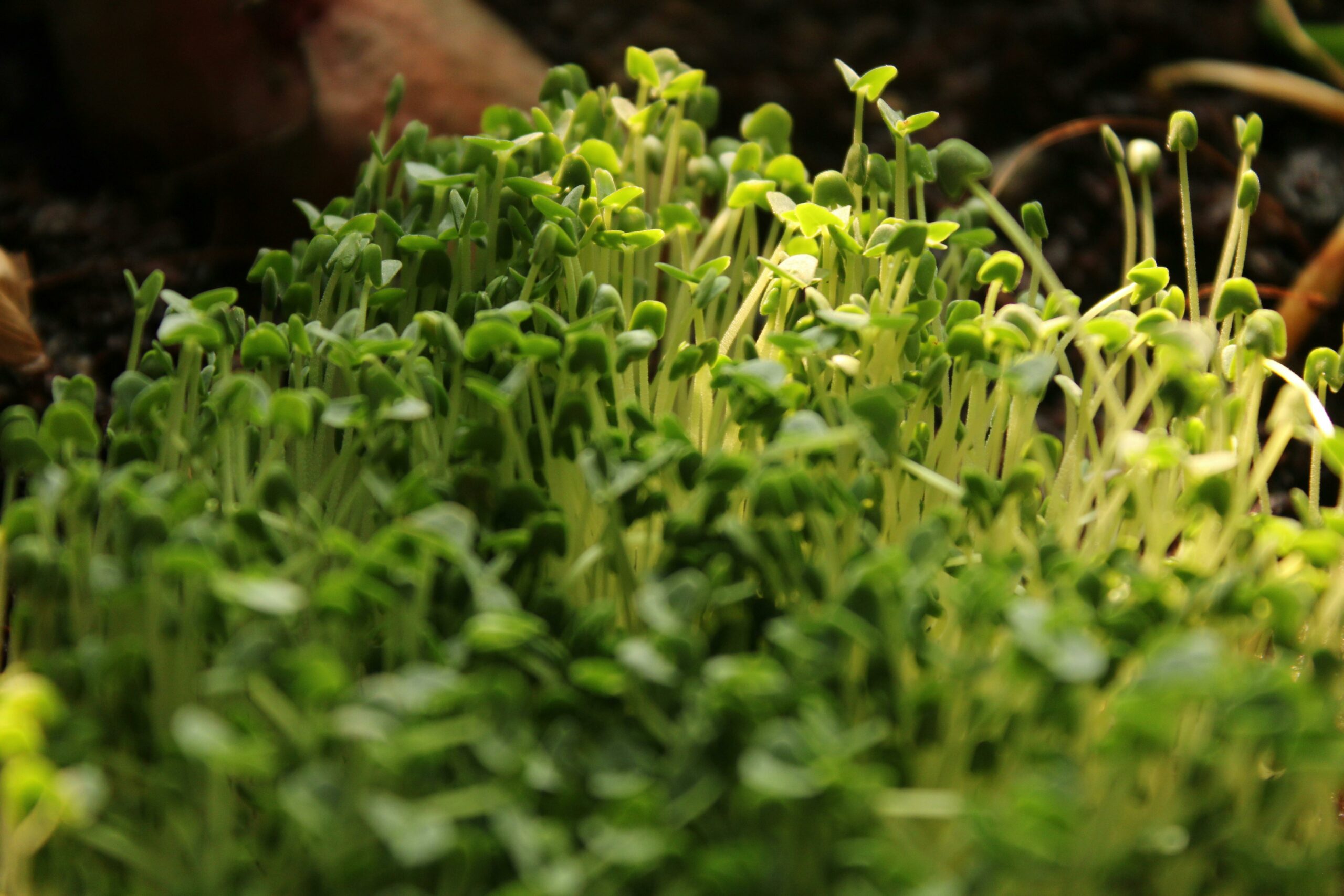 Kost-Bar 22.04.2026 – Wird verschoben!